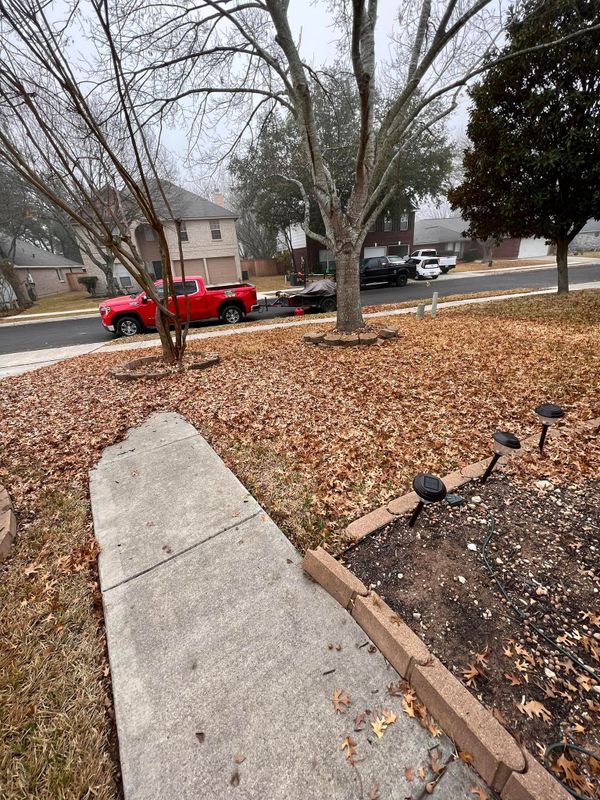 Landscaping