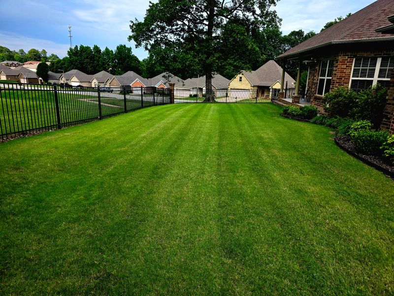Landscape And Design