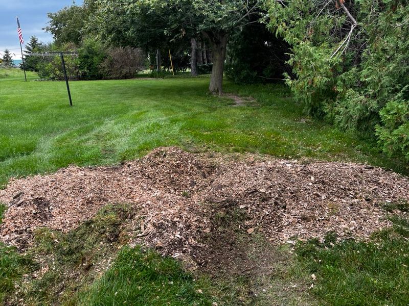 Landscape Design & Installation