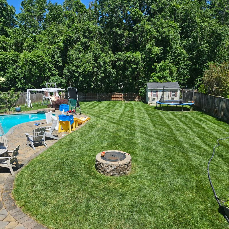 Lawn Maintenance