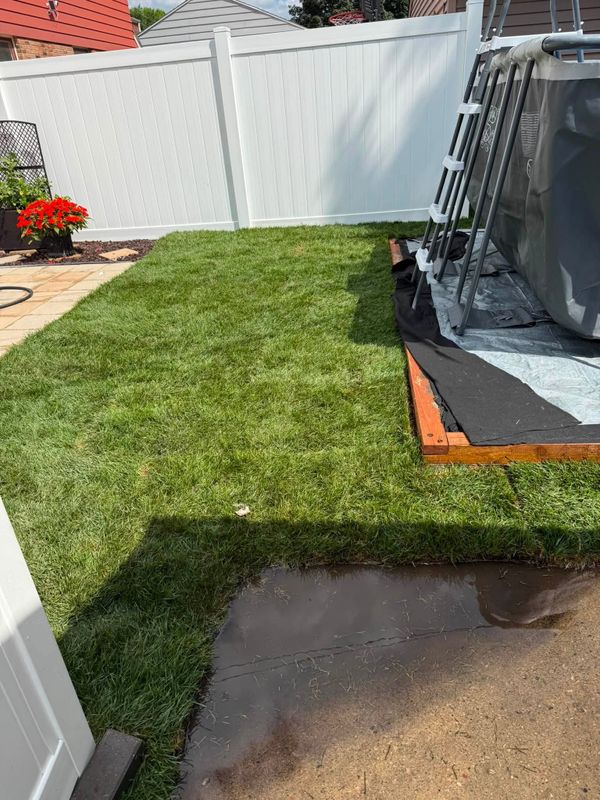 Sod  Installing