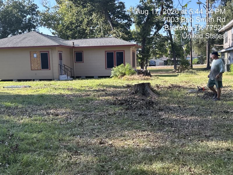 Tree trimming and removal
