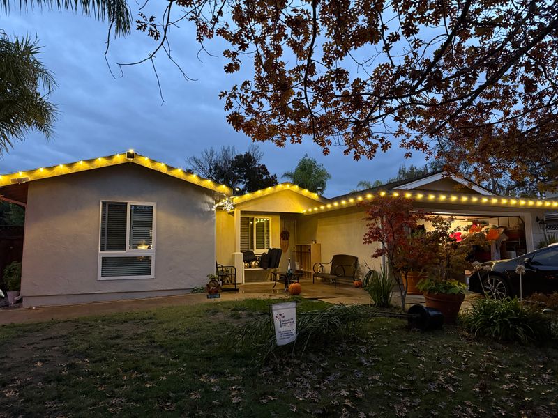 Holiday Lights