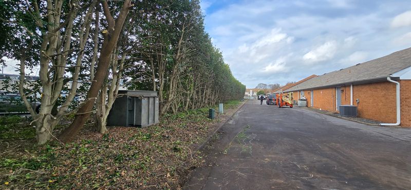 Tree Removal