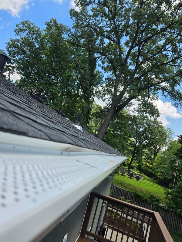 Gutter Guard & Protection (Leaf Protection)