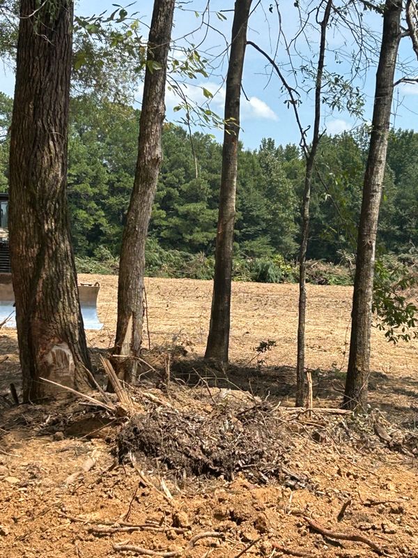 Site Grading