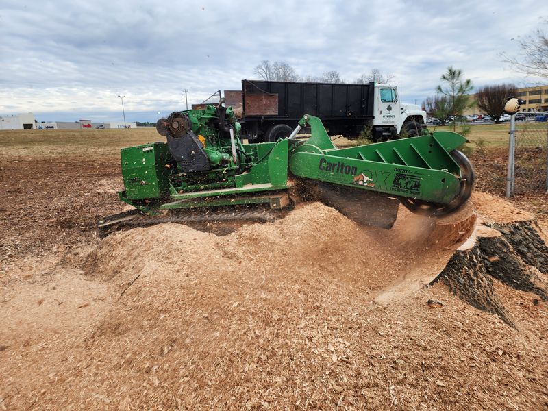 Stump Removal