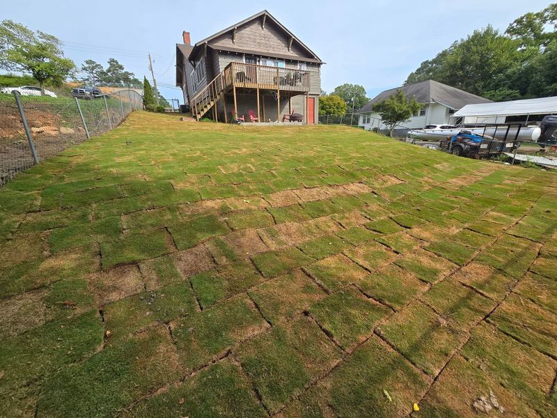 Landscape Design