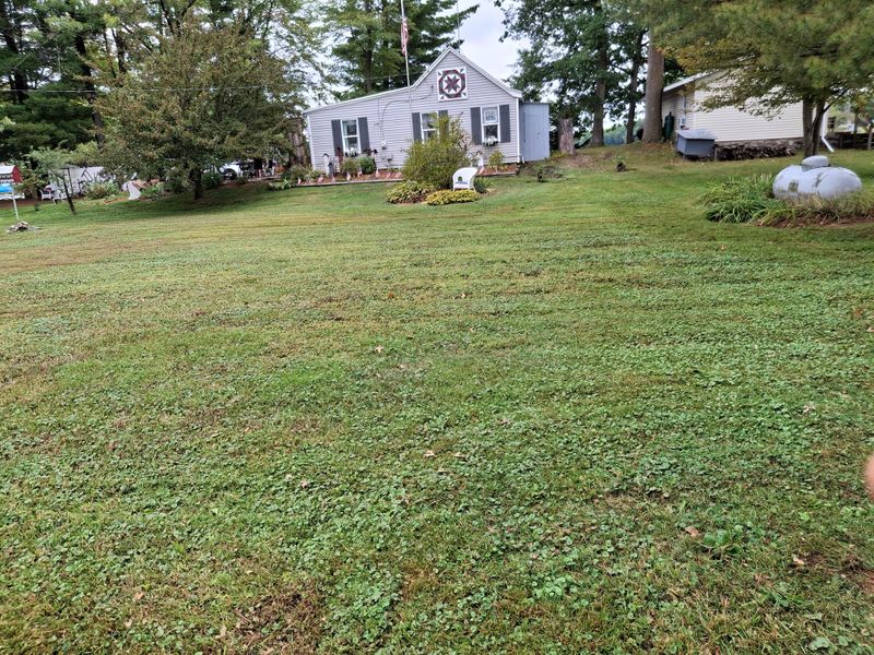 Lawn Maintenance