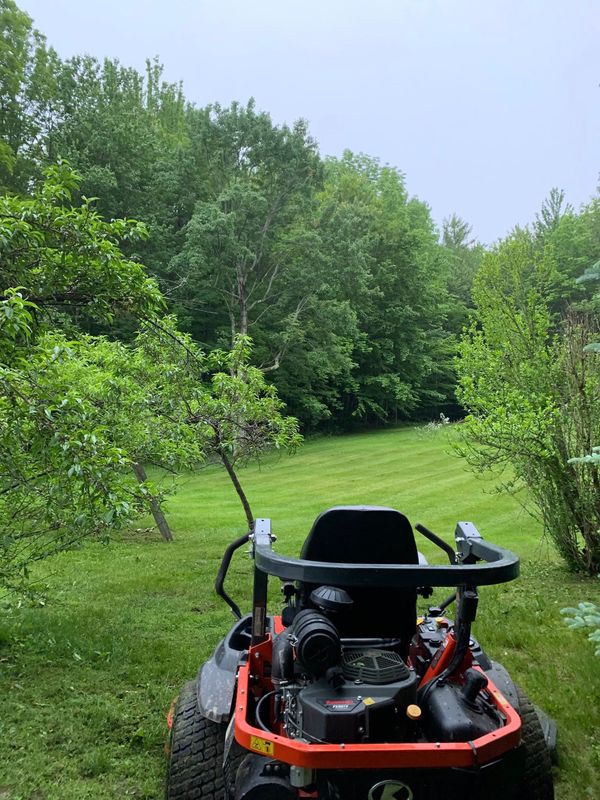 Lawn Maintenance