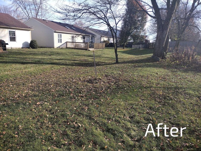 Fall and Spring Clean Up