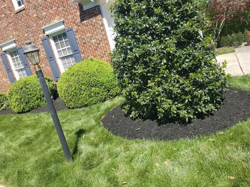 Landscaping