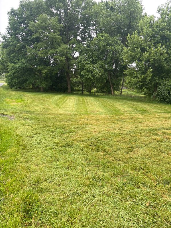 Lawn Maintenance