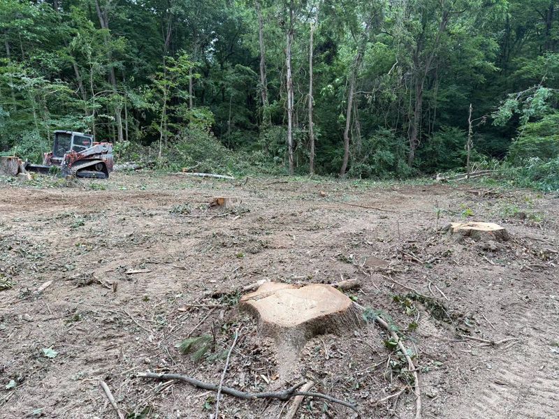 Land Clearing