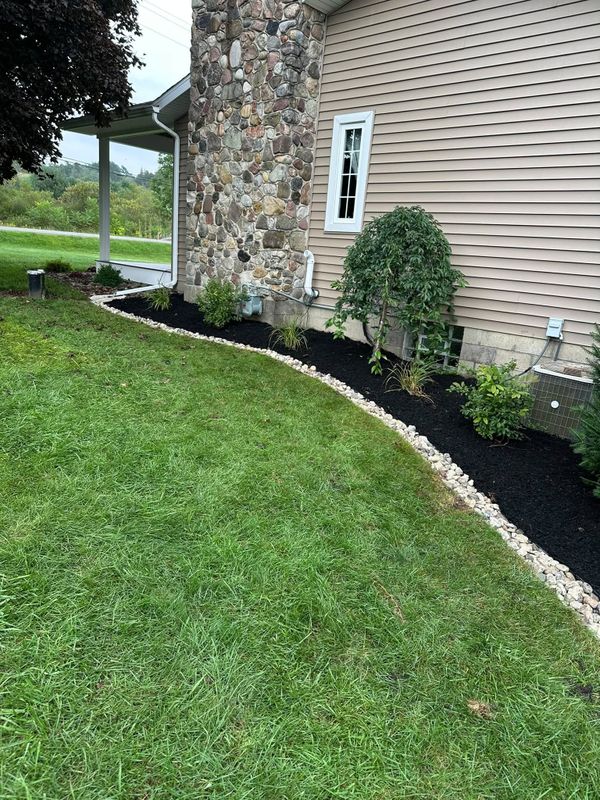 Shrub Trimming