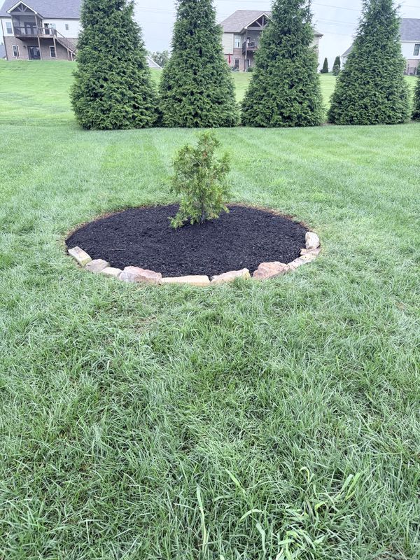 Landscaping