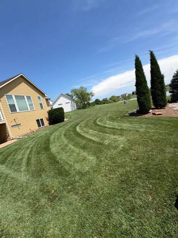 Tree & Shrub Care