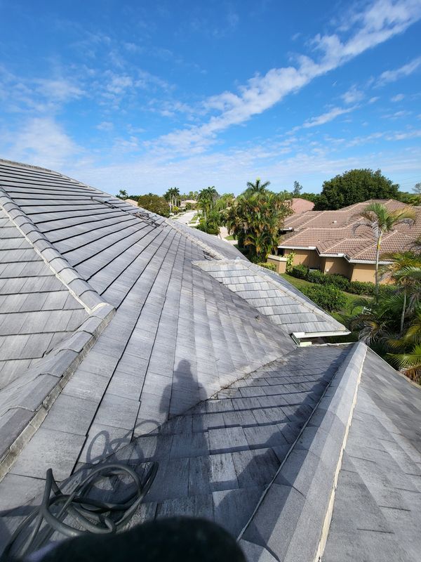Roof and Gutter Cleaning