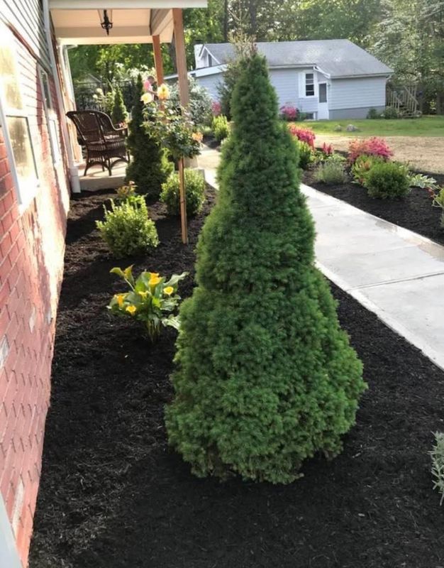 Mulch Installation