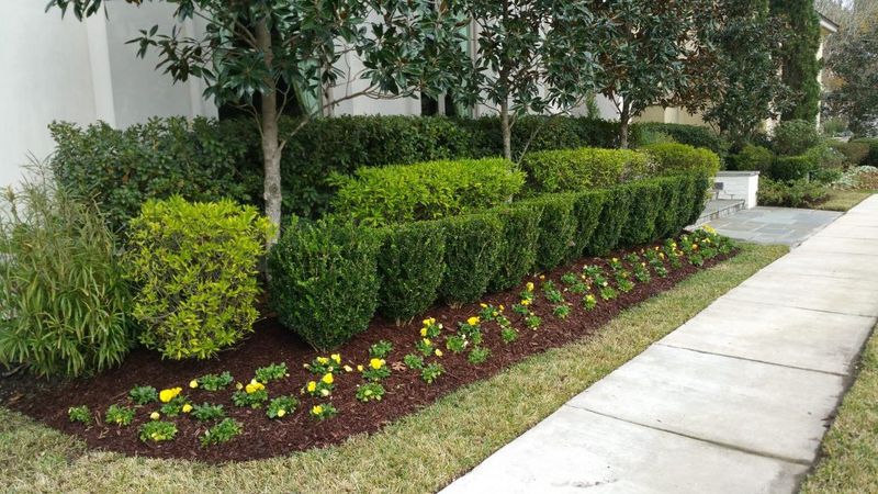 Hardscape Installation