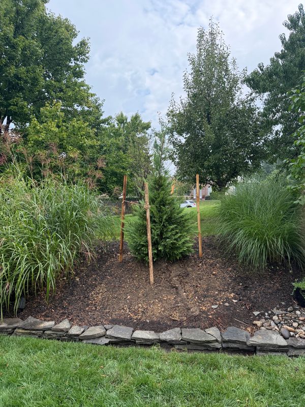 Landscape Design