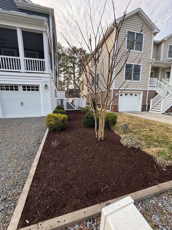 Landscape Design & Installation