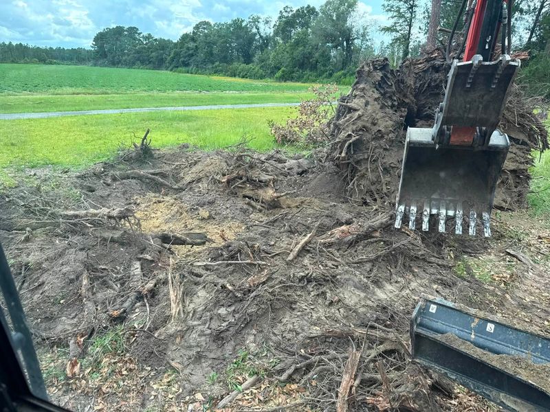 Land Clearing