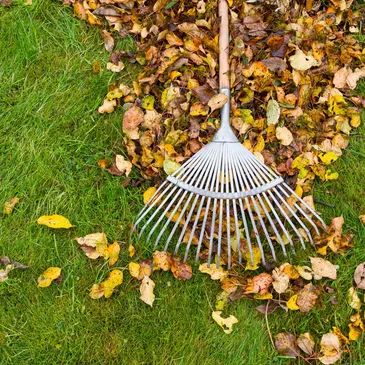 Yard Clean Ups & Seasonal Services