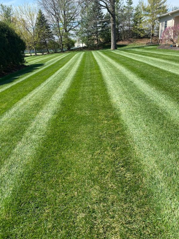 Mowing