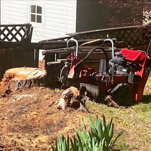 Stump Grinding