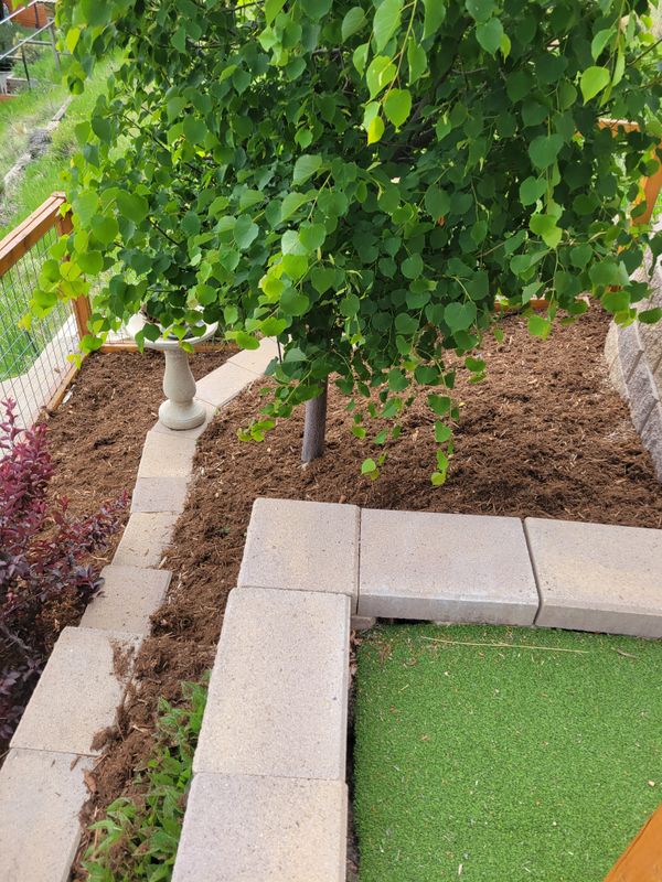 Mulch Installation