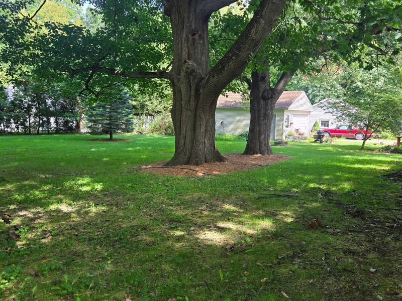 Weekly Lawncare