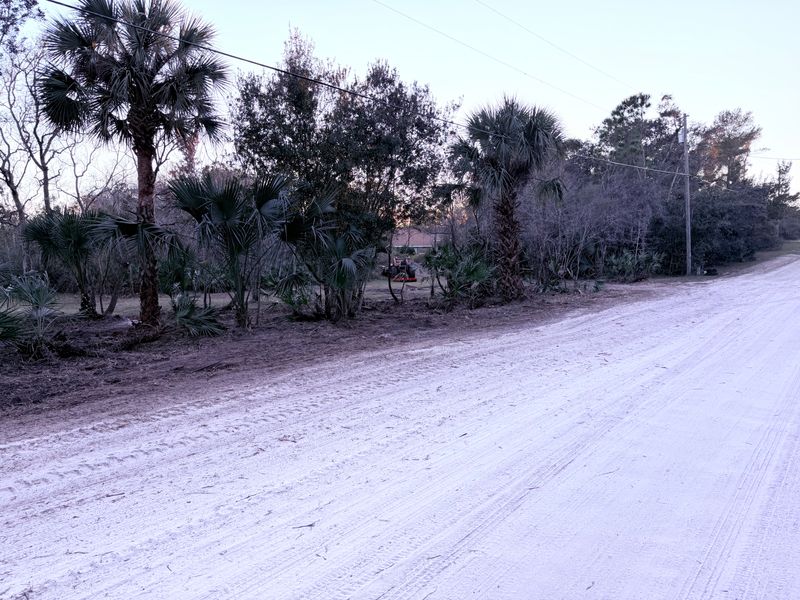 Land Clearing
