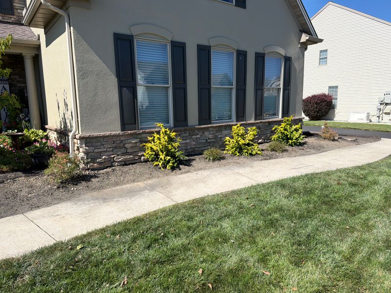 Landscape Design