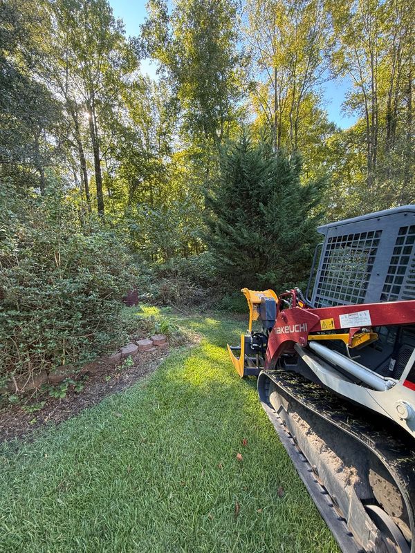 Brush Cutting