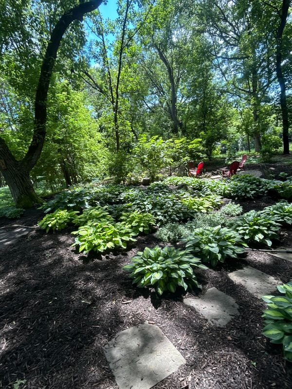 Flower Bed Gallery