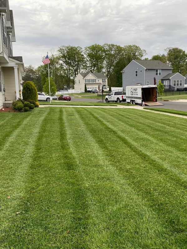 Lawn Care & Maintenance