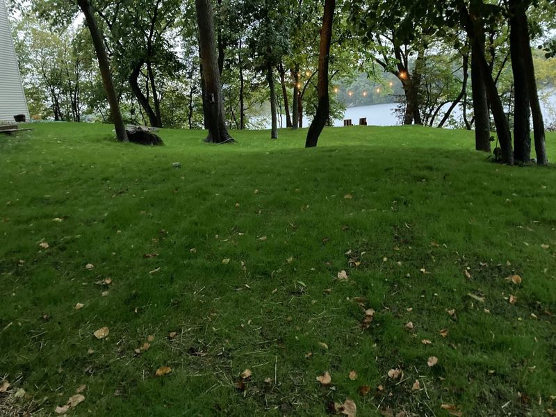 Erosion control / Hydroseeding gallery