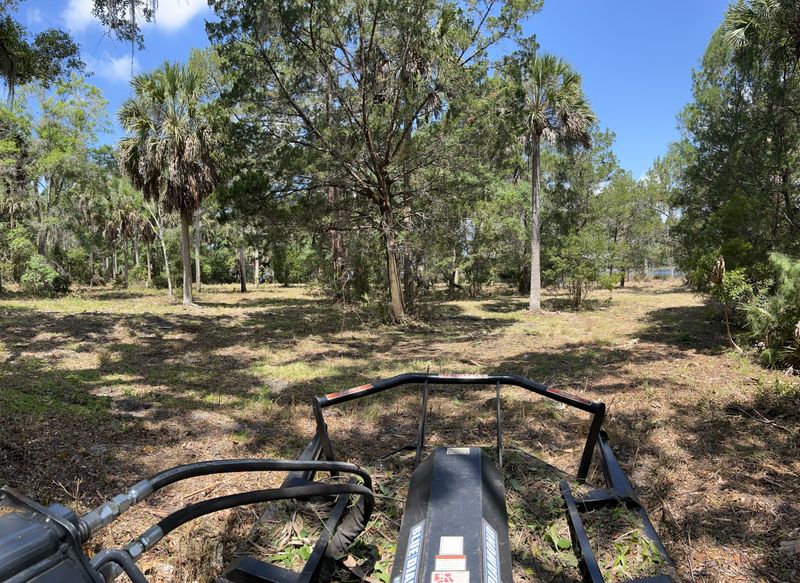 Brush cutting