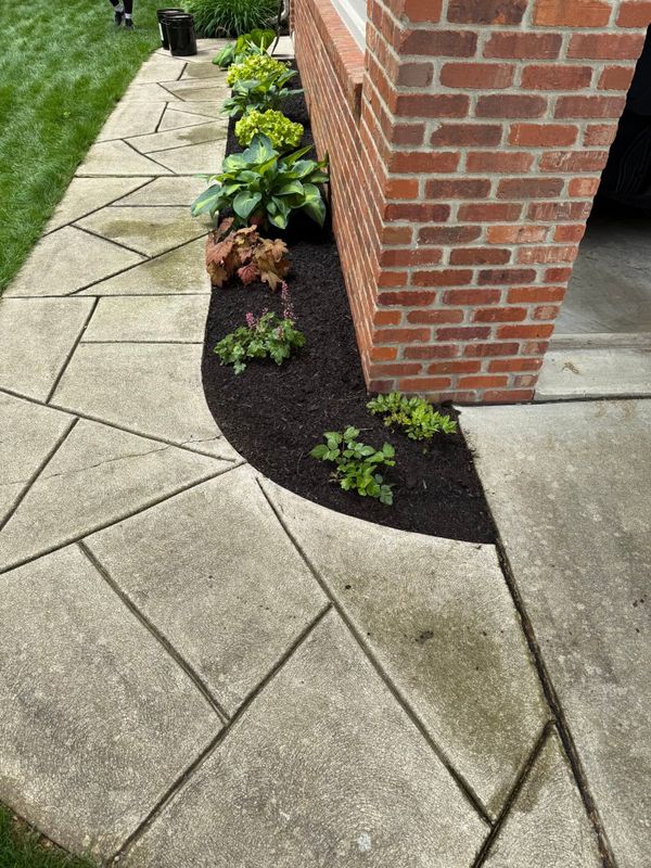 Garden Designs