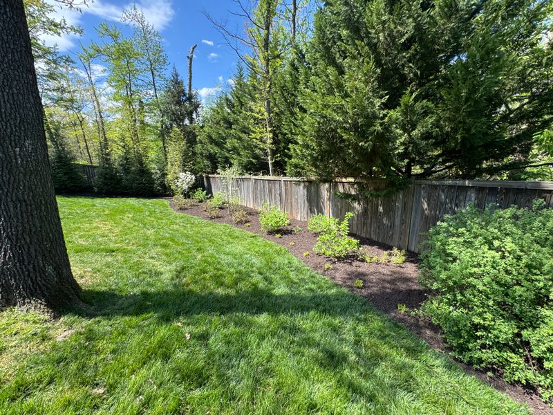 Lawn Care & Maintenance
