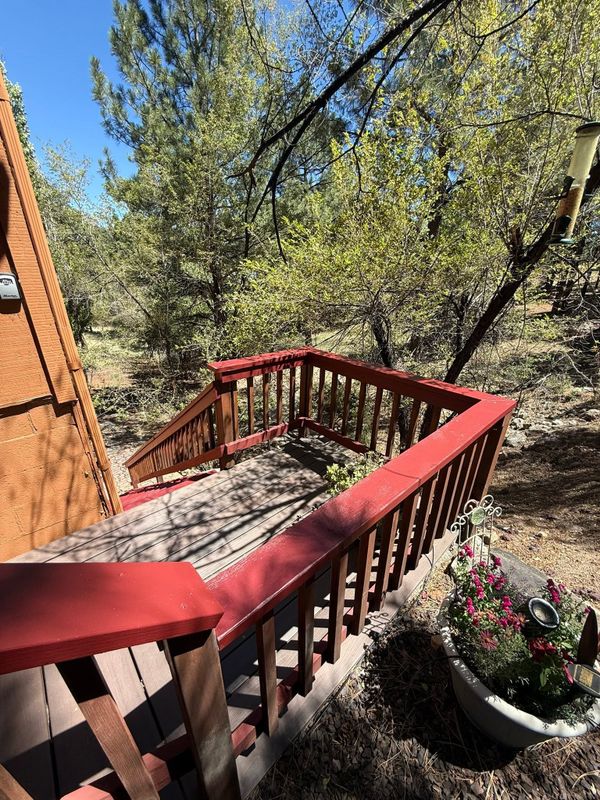 Deck and Fence Staining