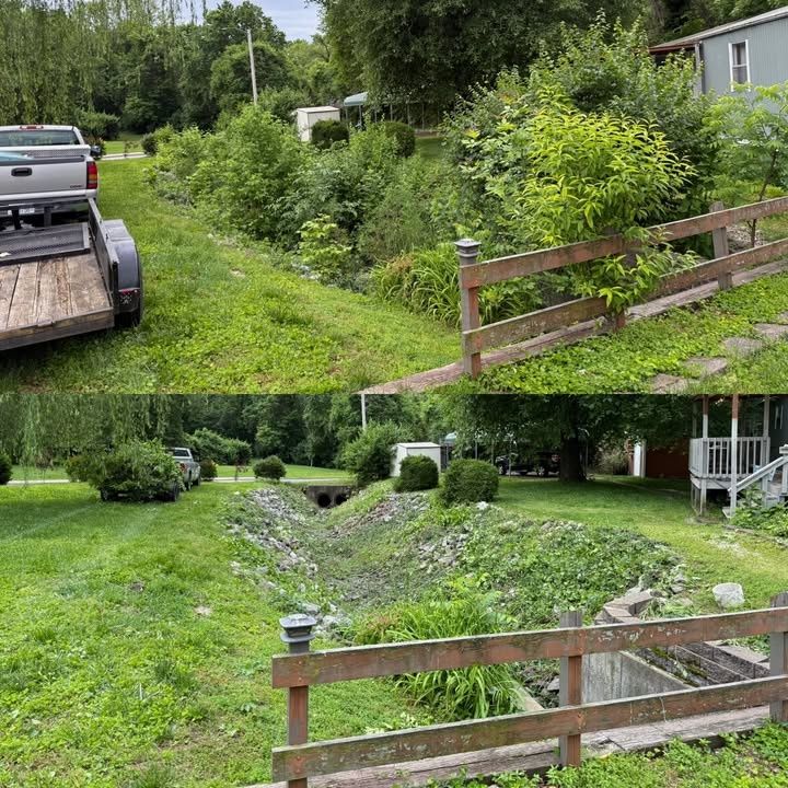 Brush Clearing
