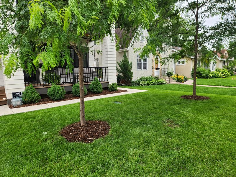 Landscaping 