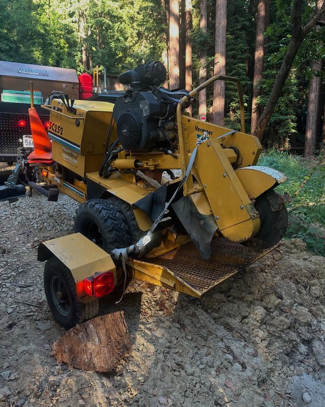 Tree Services