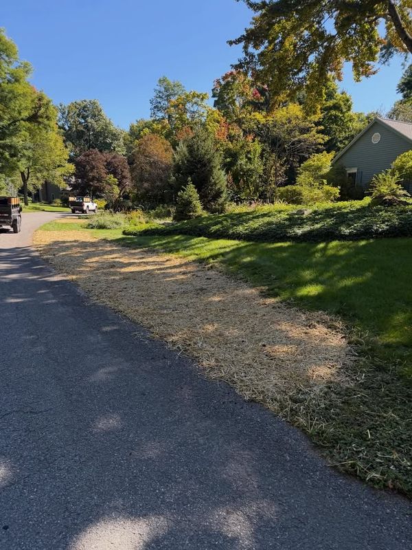 Lawn Maintenance