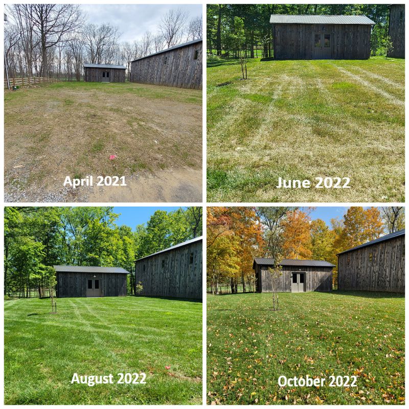 Turf Development and Maintenance 