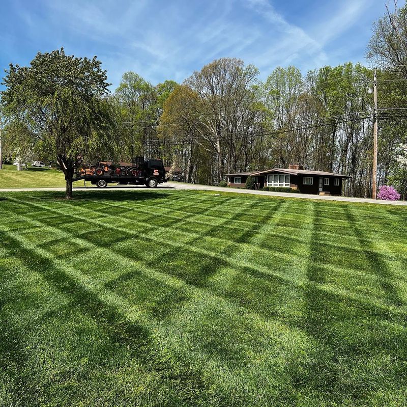 Lawn Maintenance