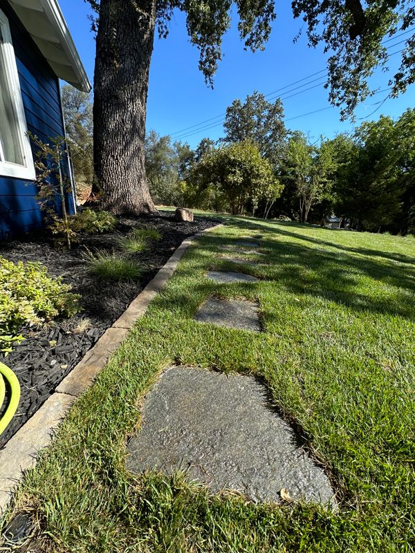 Landscaping