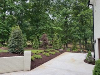 Tree & Shrub Trimming